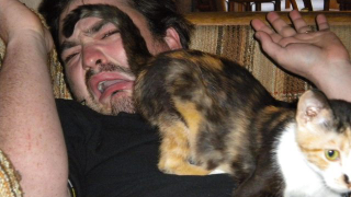 猫のお尻